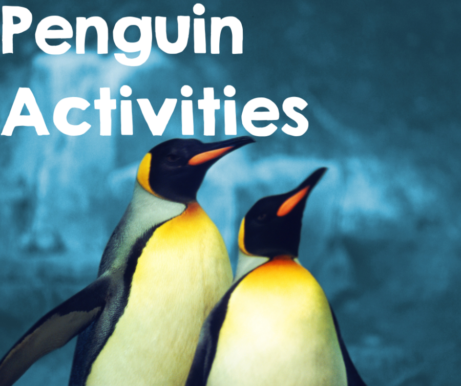 Penguin Activities