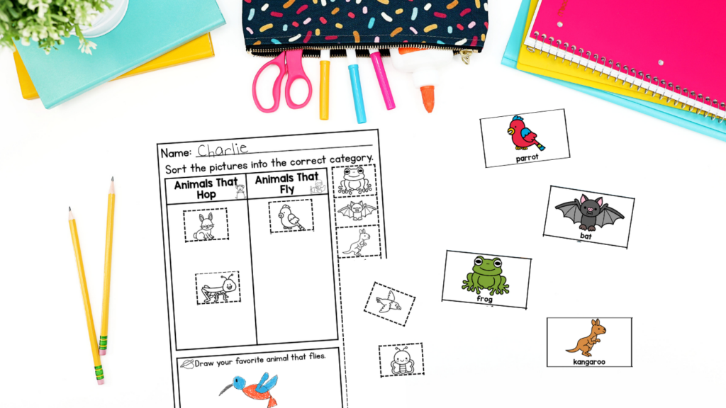 sorting activities - fly