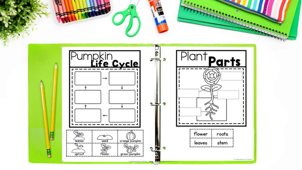 cross-curricular themes - science
