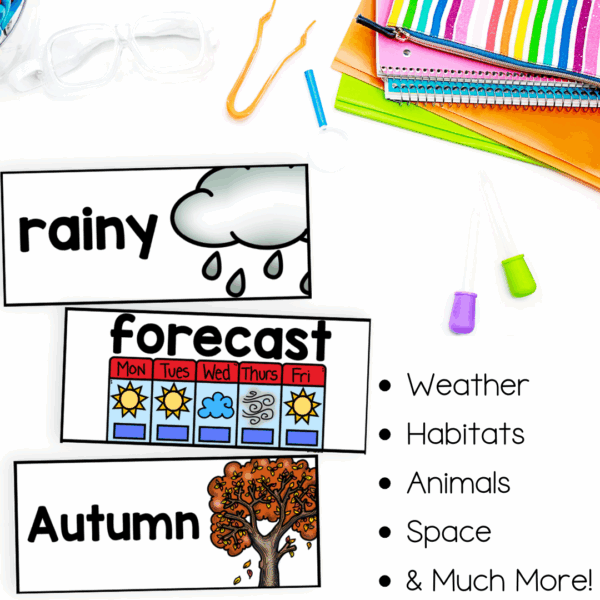 science vocabulary cards - weather