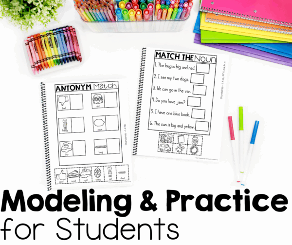 Making Learning Fun with Interactive Notebooks: A Guide for ...
