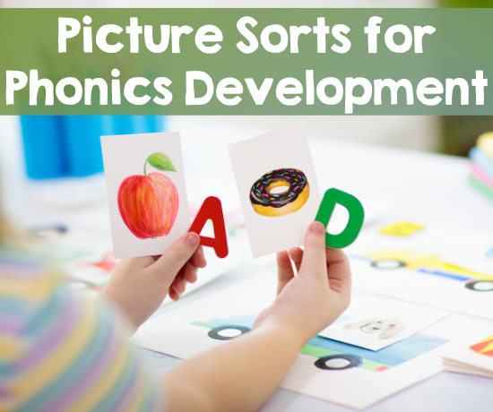Featured image - picture sorts for kindergarten