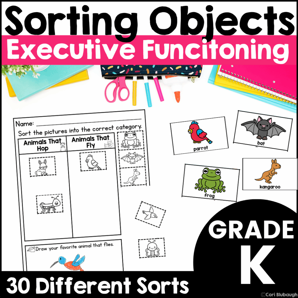 Sorting Objects Into Categories Worksheets
