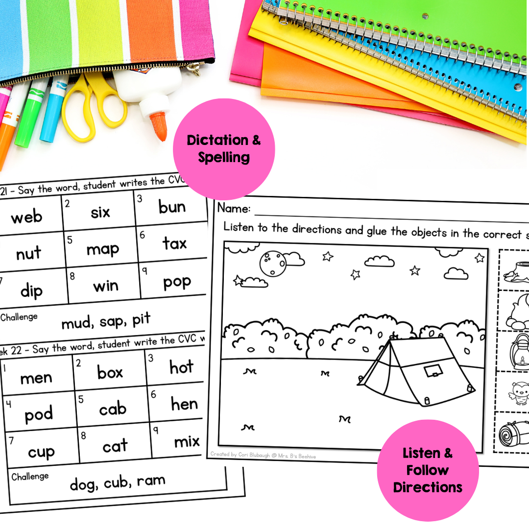 Executive Functioning - dictation and directions